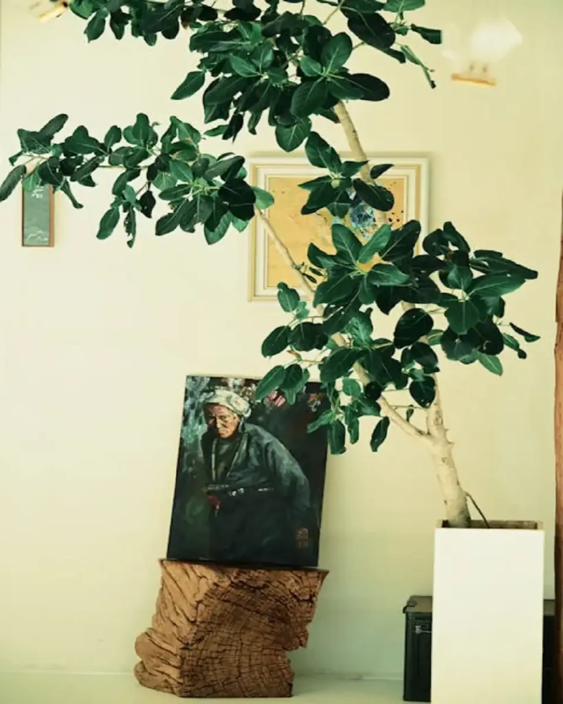 galoble outdoor garden